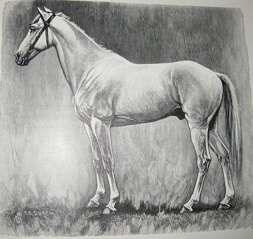 Abyssinien