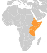 Afrique est