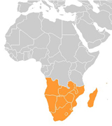 Afrique australe