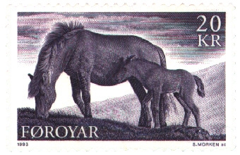 Poney bosnien