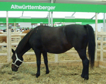 Württemberg