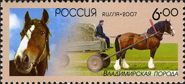 Cheval de Vladimir