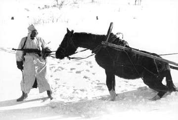 Bundesarchiv Bild 101I-215-0366-03A, Russland, Soldat, Pferd im Winter